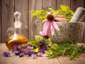 Using Adaptogenic Herbs to Reduce Stress, Boost Energy