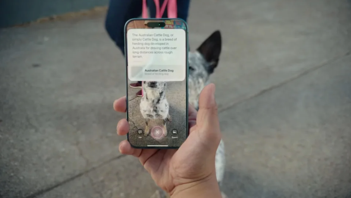 98040c70 c3af 11ef bfff 81b5a39182dc How to use Visual Intelligence, Apple's take on Google Lens