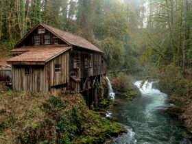 house, rural, countryside