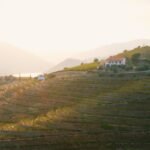 A Food and Wine Holiday in Douro Valley