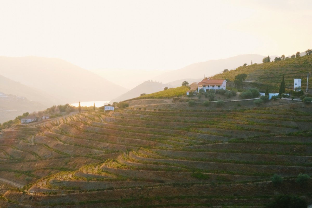 A Food and Wine Holiday in Douro Valley