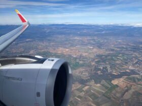Eek: Tarantula Bites Iberia Pilot Mid-Flight, Manages To Escape