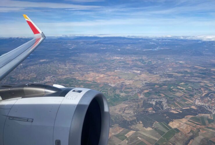 Eek: Tarantula Bites Iberia Pilot Mid-Flight, Manages To Escape
