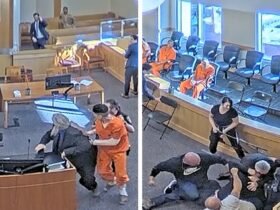 Murder Suspect Attacked by Victim's Family in Wild Courtroom Brawl, Video Shows