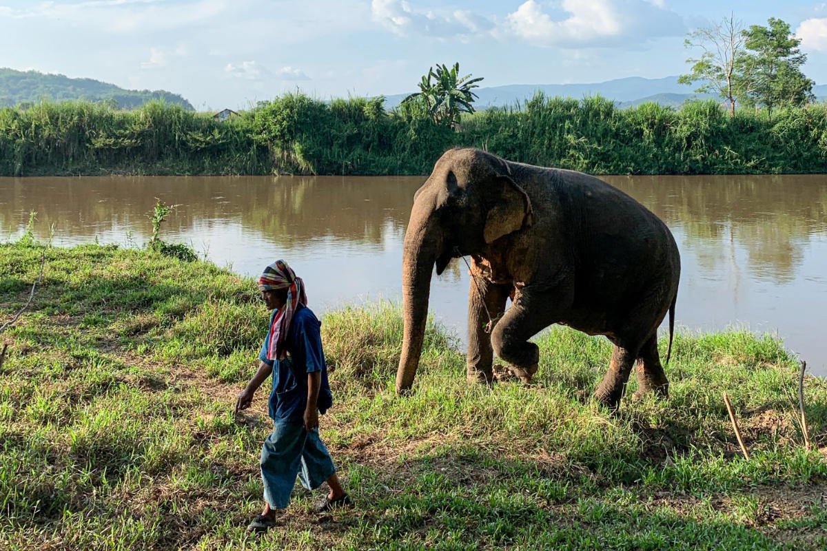 Reviews of Four Seasons Resorts in Thailand