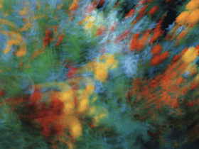 The Science behind Your Vivid Dreams (and How They Impact Sleep)