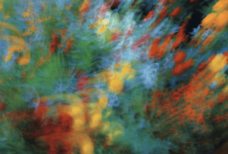 The Science behind Your Vivid Dreams (and How They Impact Sleep)
