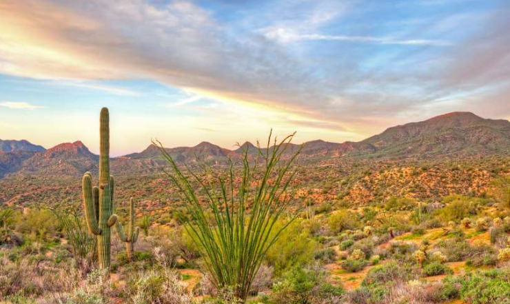 Eye on Travel - Scottsdale, Arizona - March 22, 2025