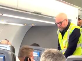 'High As A Kite' American Airlines First Class Passenger Calls 911 To Force Takeoff—7 Cops Rip Him From His Seat