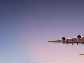 What Not to Do on a Plane