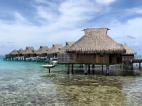 Hilton Honors Aspire Card Review: Strong Perks, Worth The Fee