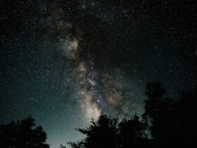 The Astrology Behind August's New Moon + How To Work With It