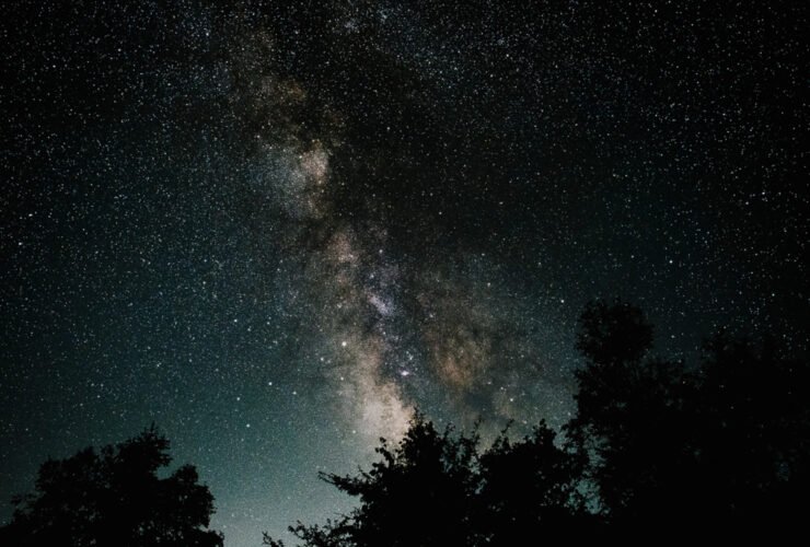The Astrology Behind August's New Moon + How To Work With It