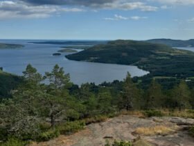 A 10 Day Itinerary Down Sweden's Coast