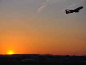 Can Paying for Carbon Offsets Really Make a Difference? -