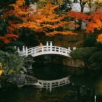 These Shoulder-season Months Are the Secret to Saving Money and Avoiding Crowds During Your Tokyo Trip
