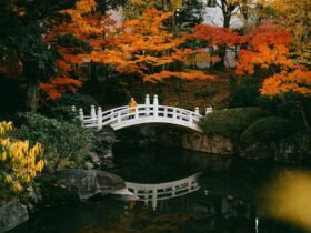These Shoulder-season Months Are the Secret to Saving Money and Avoiding Crowds During Your Tokyo Trip