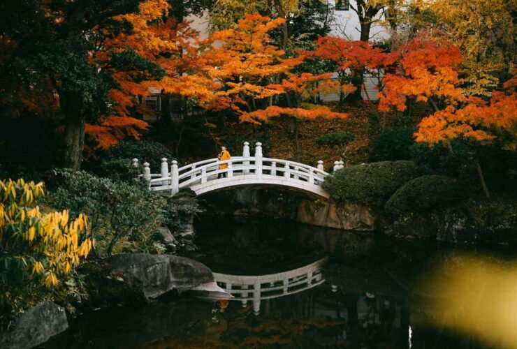 These Shoulder-season Months Are the Secret to Saving Money and Avoiding Crowds During Your Tokyo Trip
