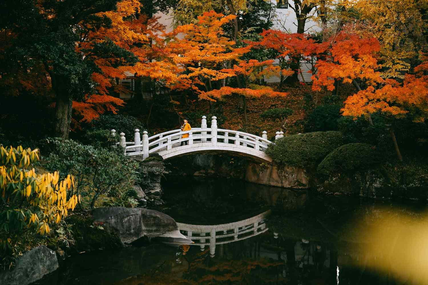 These Shoulder-season Months Are the Secret to Saving Money and Avoiding Crowds During Your Tokyo Trip