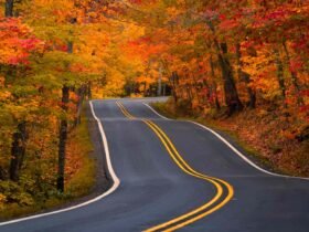 This Midwestern State Has Some of the Best Fall Foliage in the U.S., According to Travel Experts