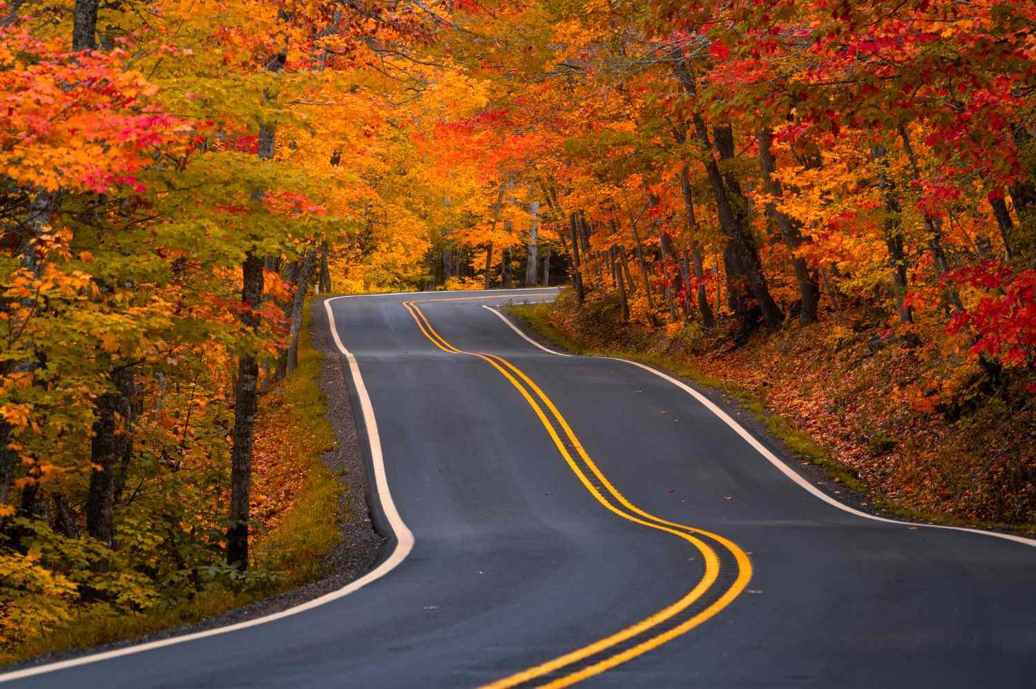 This Midwestern State Has Some of the Best Fall Foliage in the U.S., According to Travel Experts