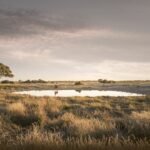 Condé Nast Traveler