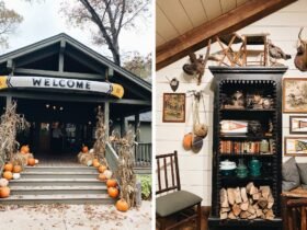 Explore Big Cedar Lodge Wilderness Resort in Missouri