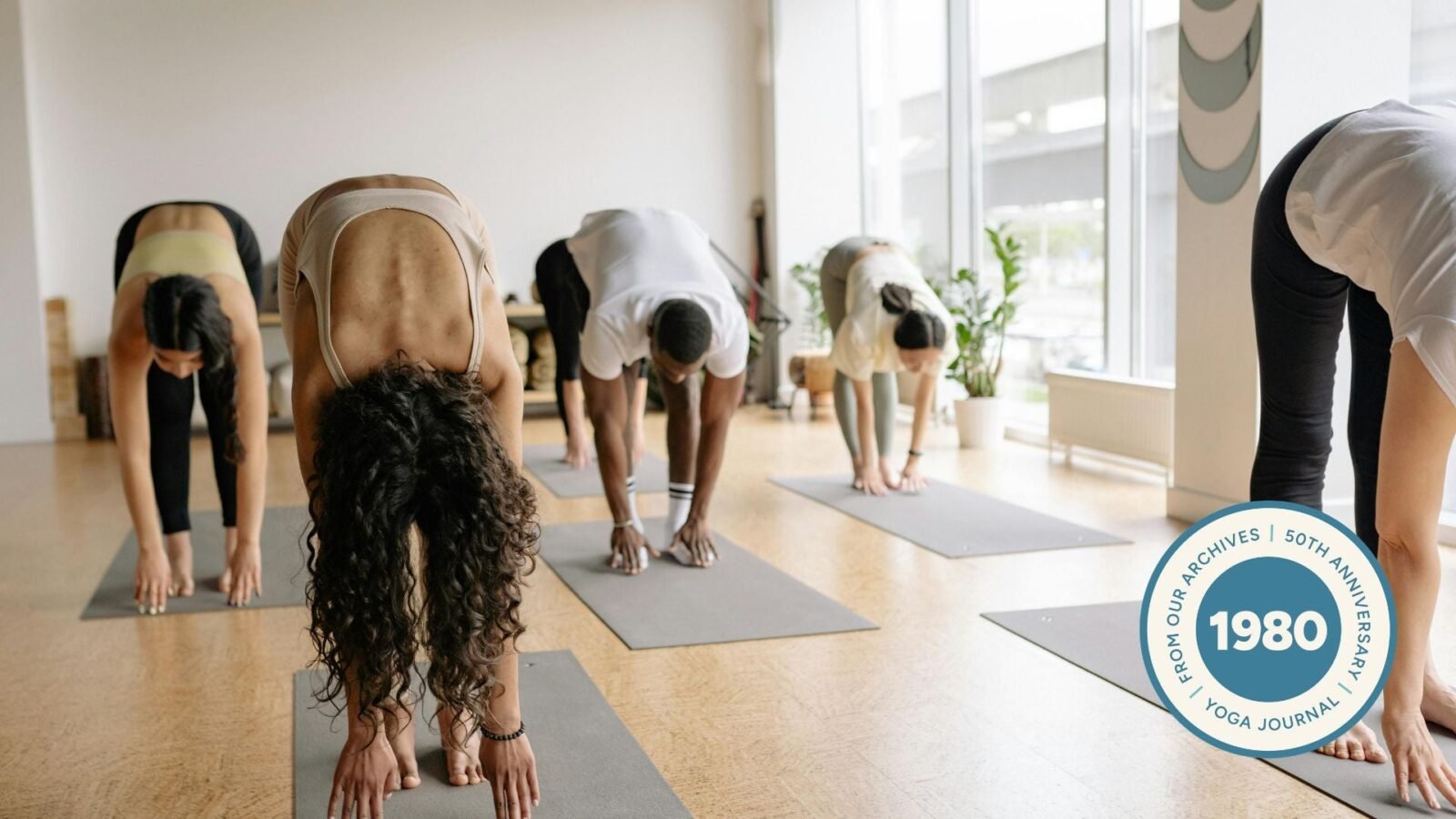 Image of yoga class practicing standing forward bend.
