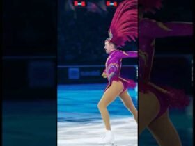 If You Like Figure Skating...