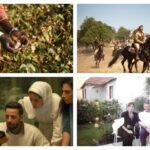 Mad Solution Launches CineMAD Celebrating Arab Festival Favorites