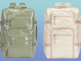 This Calpak Terra Backpack Is the Best Personal Item