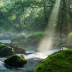 We’re in an 'Extinction of Experience' and Have Lost 60% of Our Connection to Nature—Here's How a Vacation Can Fix It