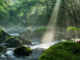 We’re in an 'Extinction of Experience' and Have Lost 60% of Our Connection to Nature—Here's How a Vacation Can Fix It