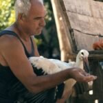 How to Win a Documentary Oscar