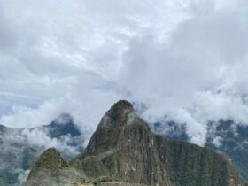 Photo of the Week - December 8, 2025