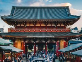 The 8 Best Airbnb Experiences in Tokyo