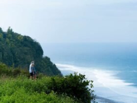 This Tropical Destination Is One of the Best Places to Retire for Affordability, Relaxing Beaches, and Natural Beauty