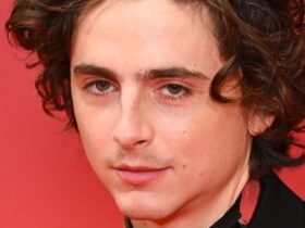 How to Get Timothée Chalamet Hair: A Step-by-Step Guide