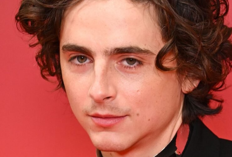 How to Get Timothée Chalamet Hair: A Step-by-Step Guide