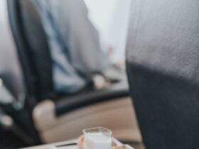 Smart Food Choices For a Flight