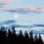 The First Full Moon Of 2026 Is In Cancer—Here's What To Know