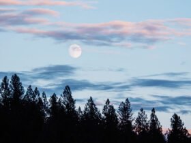 The First Full Moon Of 2026 Is In Cancer—Here's What To Know